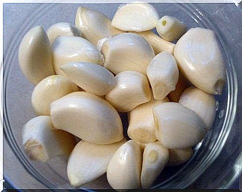 Garlic on the list of foods that clean the veins and arteries