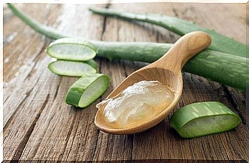 Natural remedies against tartar with aloe vera