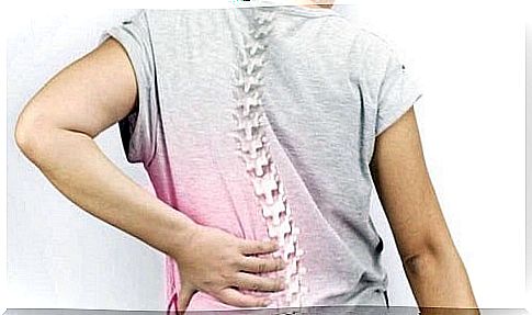 Spine attacked by conditions that cause back pain