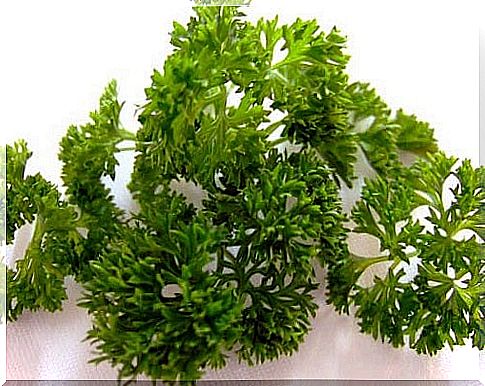 Healing plants such as parsley 