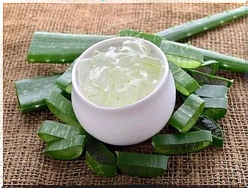 Aloe vera on the list of herbs for rheumatoid arthritis