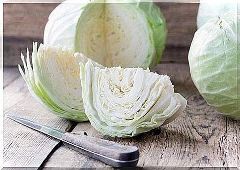 Cabbage is a useful food to treat cancer