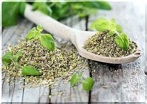 Oregano included in natural remedies for torticollis