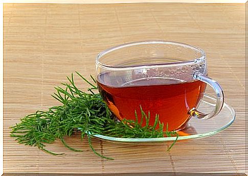 Horsetail tea fights water retention