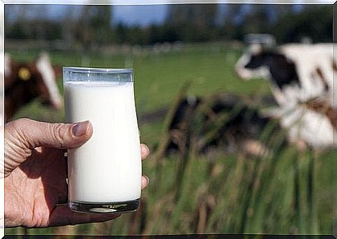 Cow's milk is rich in iodine