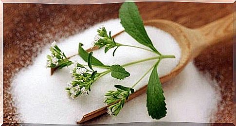 Medicinal infusions for the treatment of diabetes with stevia