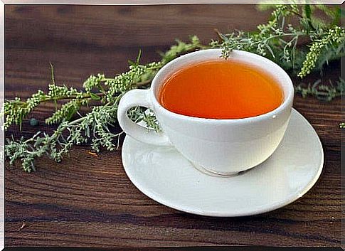 Wormwood tea on the list of medicinal infusions for the treatment of diabetes