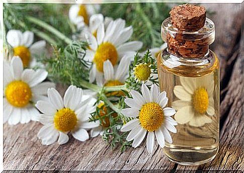 Chamomile oil on the list of natural remedies for hot flashes