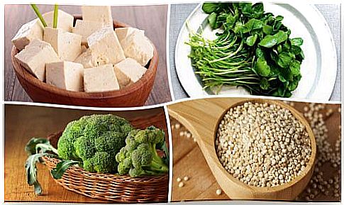 8 plant-based foods rich in protein