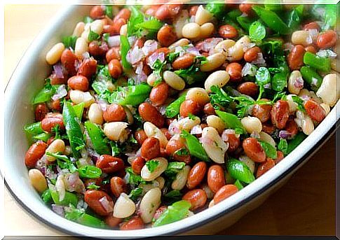 Legumes have a high protein content