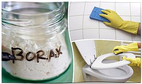 8 uses of borax in the household