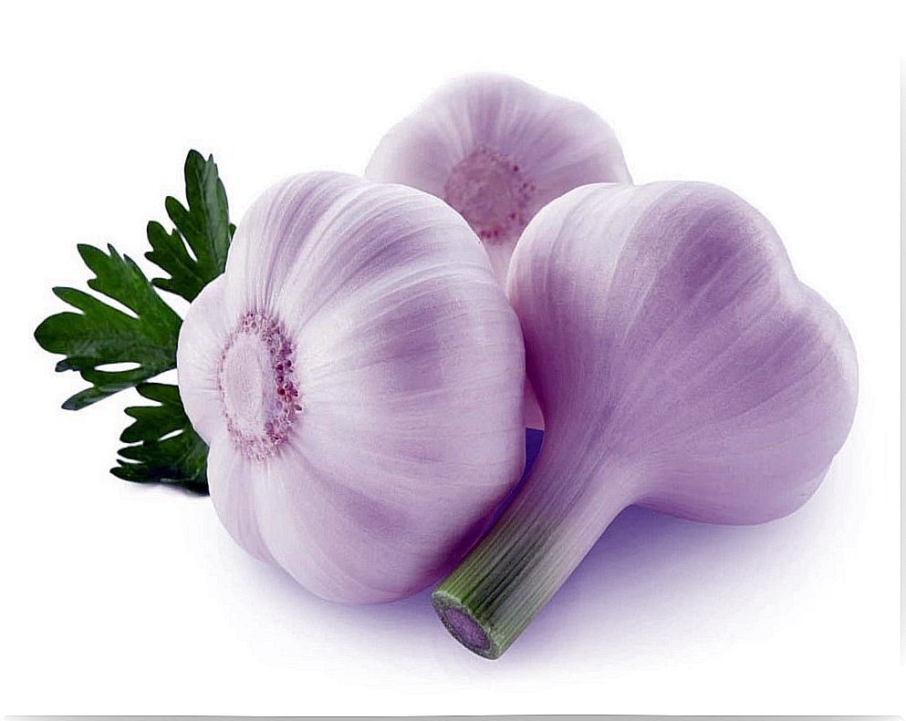 Garlic for abdominal fat