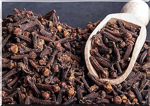 Fights intestinal parasites by eating cloves