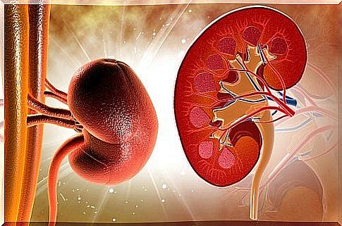 Cleanse the kidneys easily with natural remedies