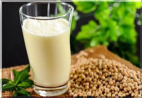 Hemp milk: nutrients, benefits and a recipe