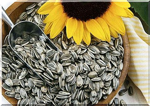 How to get rid of cellulite with sunflower seeds