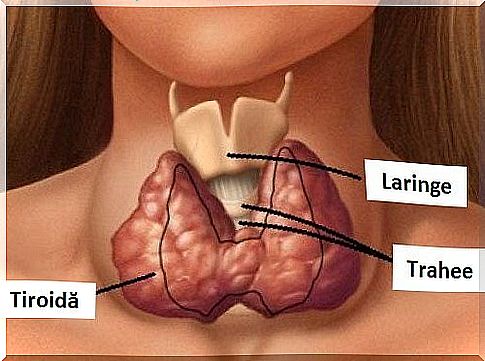 Hypothyroidism - a treatment with seaweed