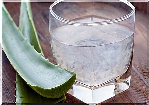 Aloe vera for inflammation of the esophagus