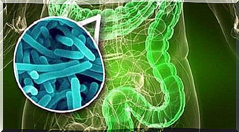 Joint pain and intestinal bacteria are connected