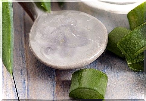 Aloe vera is the ideal ingredient for a natural deodorant