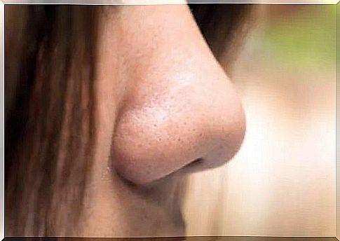 Nose shapes: what type of nose do you have?