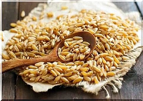 Properties and benefits of kamut wheat