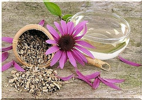 Natural remedies for herbal tendonitis