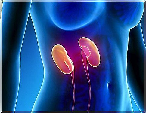 Things that happen when the kidneys don't work properly