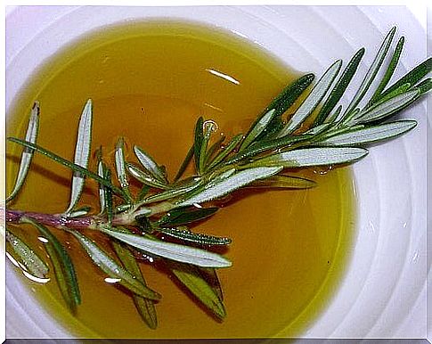 Rosemary helps you have long hair