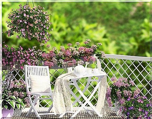 Urban garden guide with garden furniture and flowers