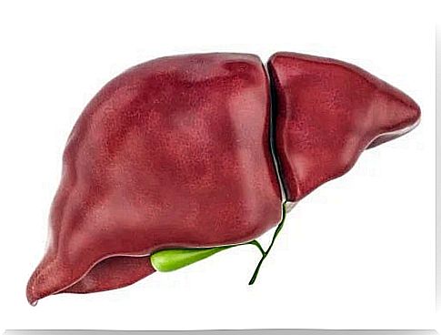 What are the toxins that accumulate in the liver